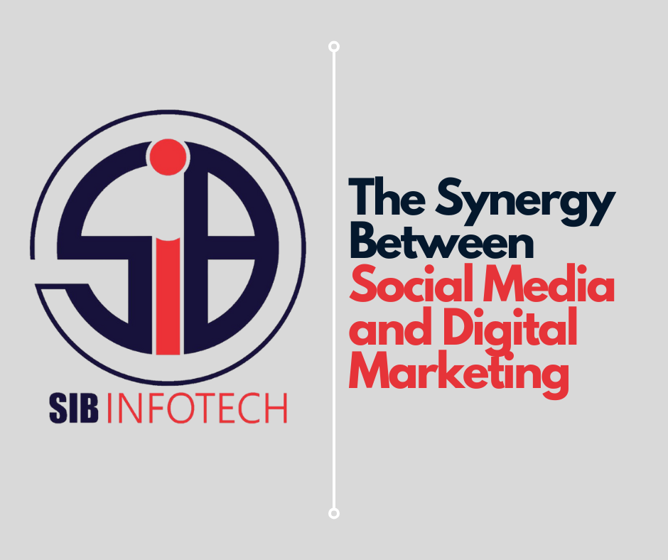 The Synergy Between Social Media and Digital Marketing